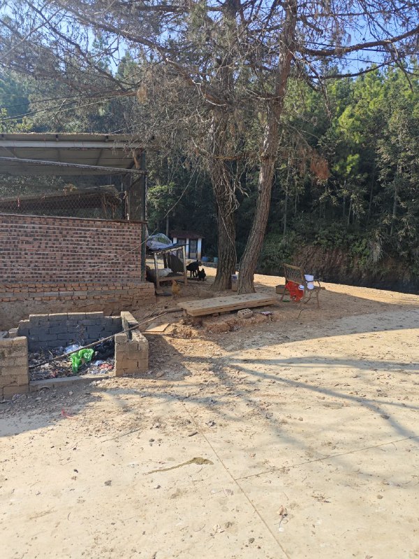 上了三年课没想到学校后面还有这种地方#我的大学上了三年课没想到学校后面还有这种地方#我的大学